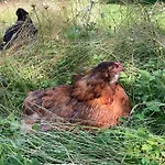 Kraemersbug - Fuer Familien Mit Kleinen Kindern Daire *